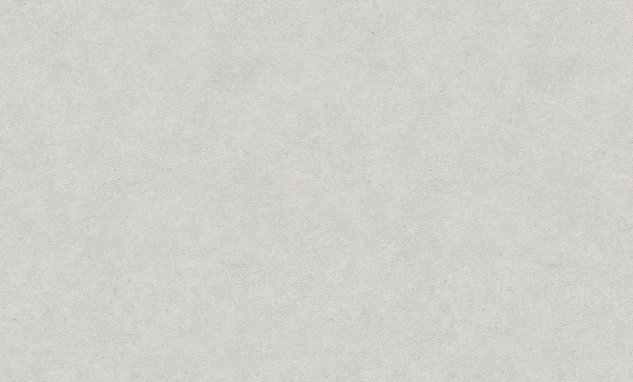 6937429840_oboi-vinilovye-na