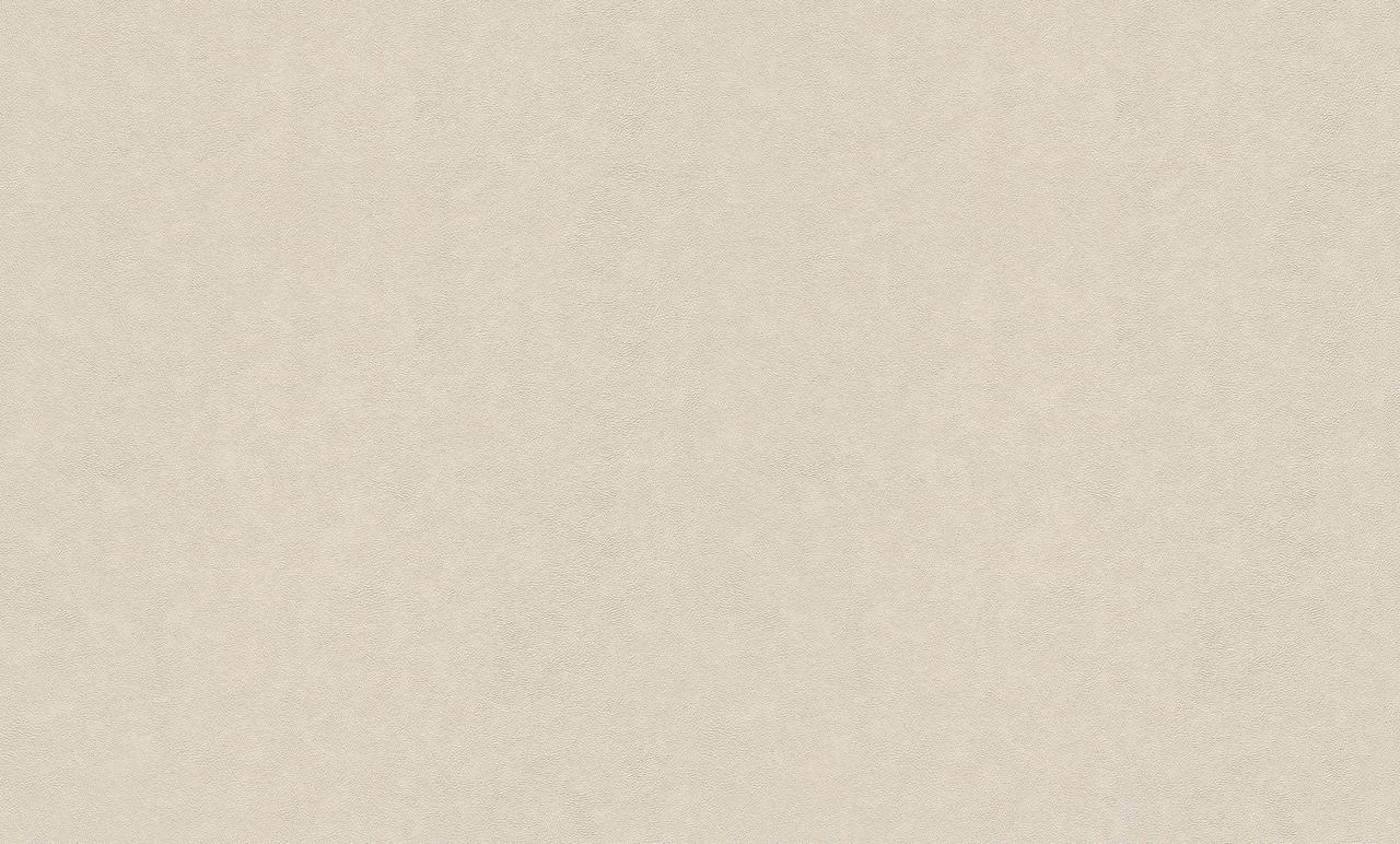 7294781604_oboi-vinilovye-na