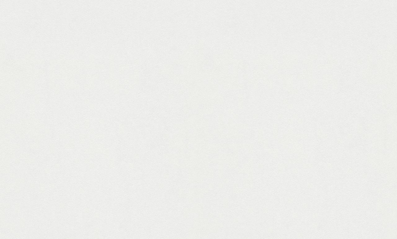 7294785178_oboi-vinilovye-na