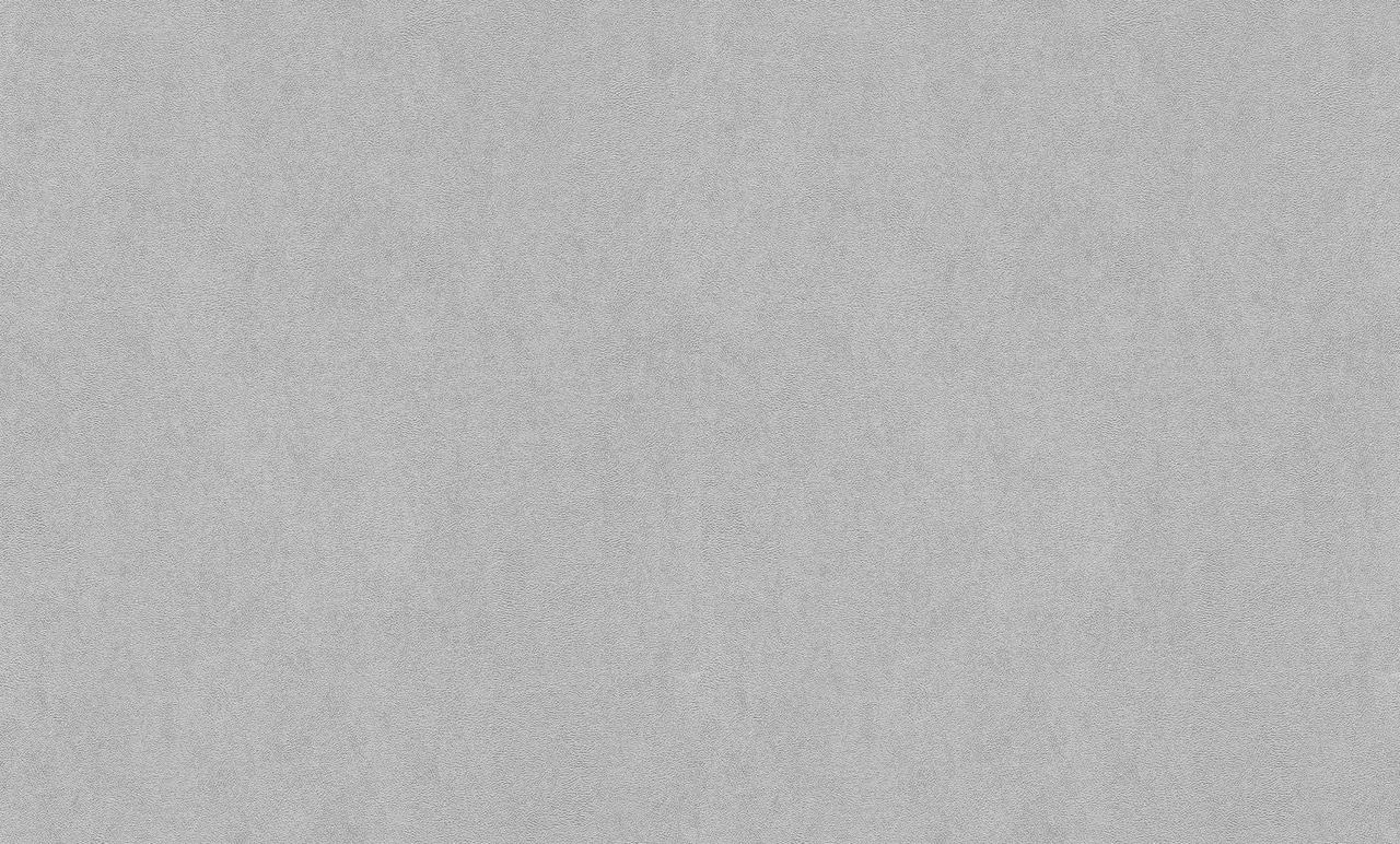 7294796293_oboi-vinilovye-na