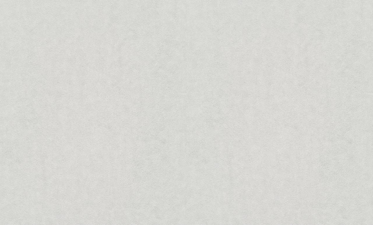 7294801634_oboi-vinilovye-na