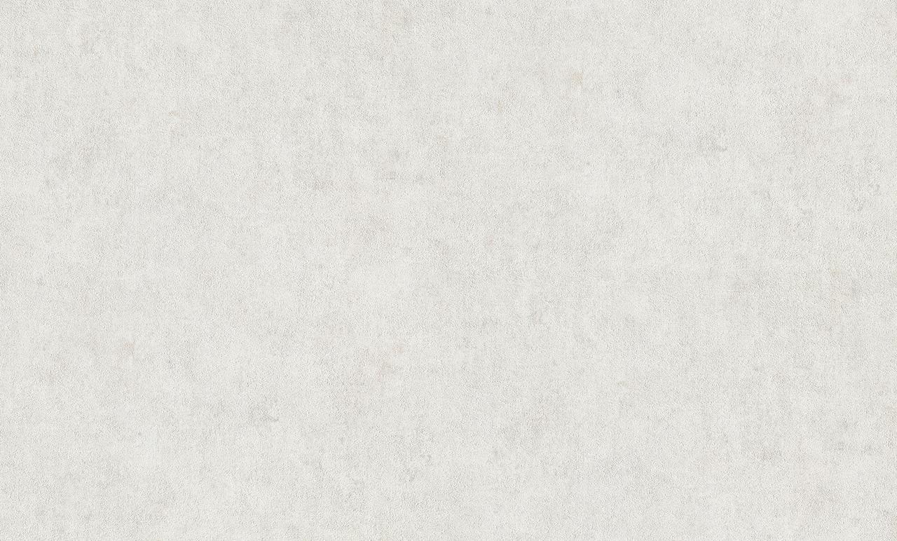 7294855002_oboi-vinilovye-na